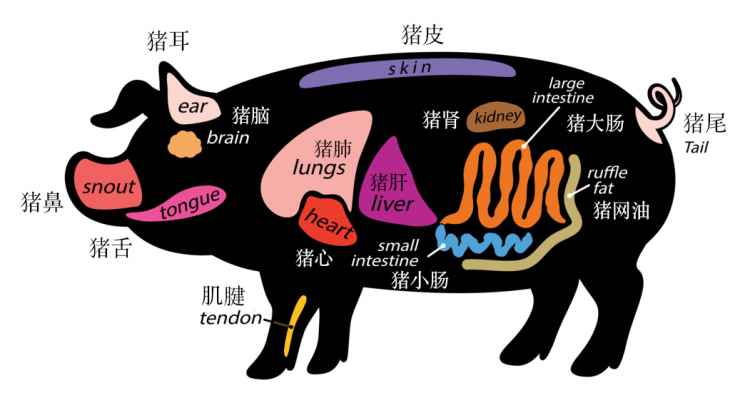 00pig_organs.jpg