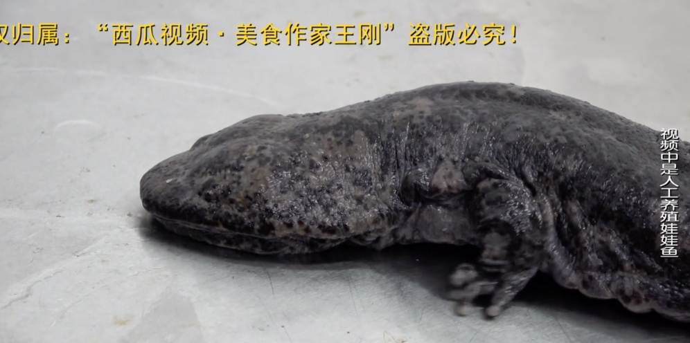 屏幕快照 2019-03-07 上午10.22.25.png