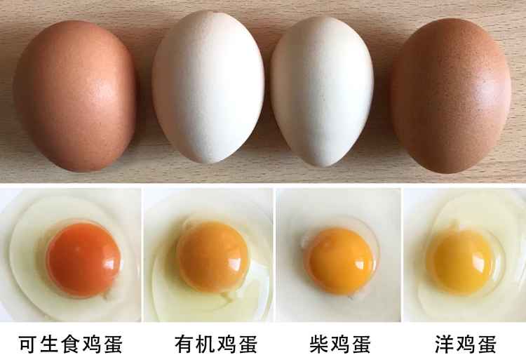 00对比鸡蛋图.jpg