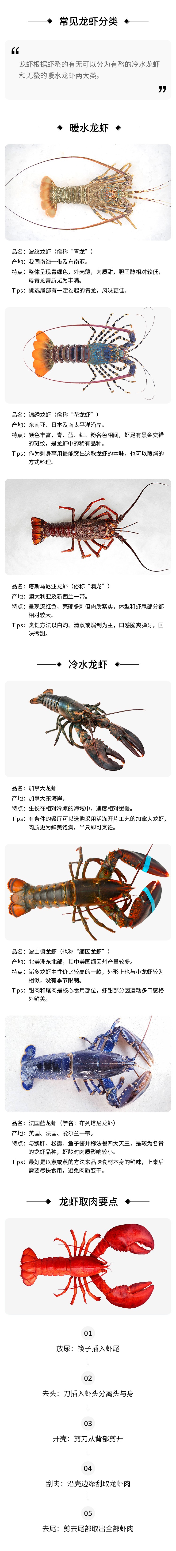 龙虾信息图.jpg