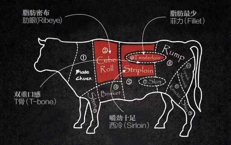 00牛排部位图new-yhouse.jpg