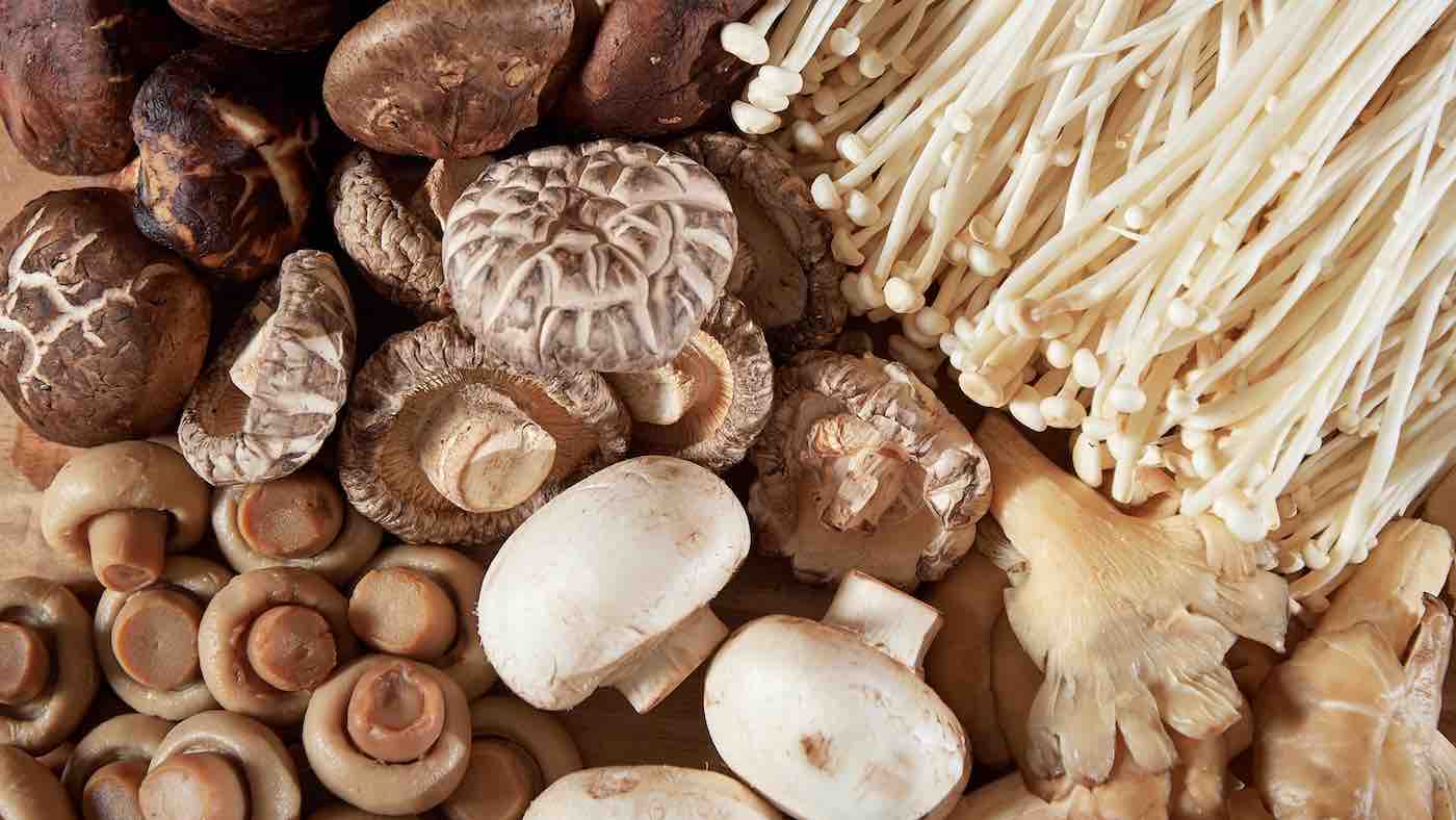 Mushrooms-National-University-of-Singapore-Released.jpg