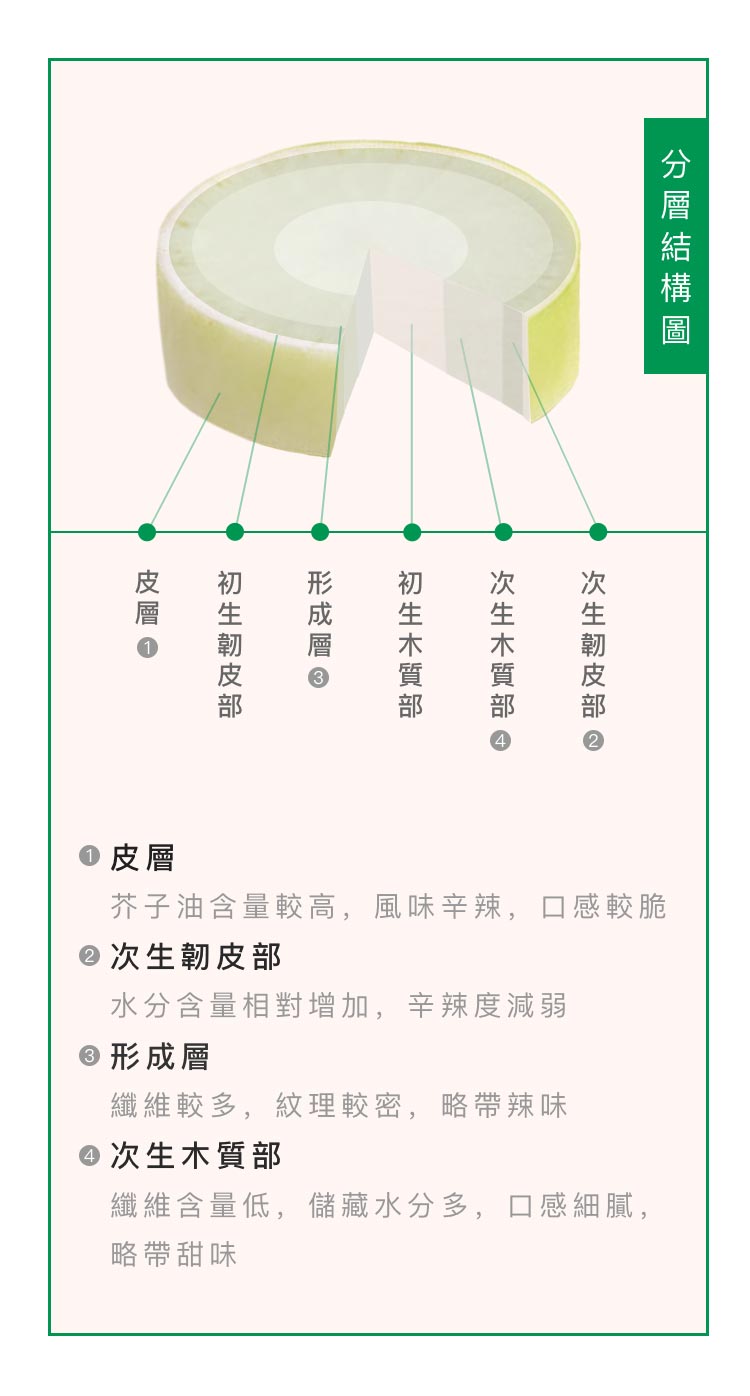 蘿蔔圖1.jpg