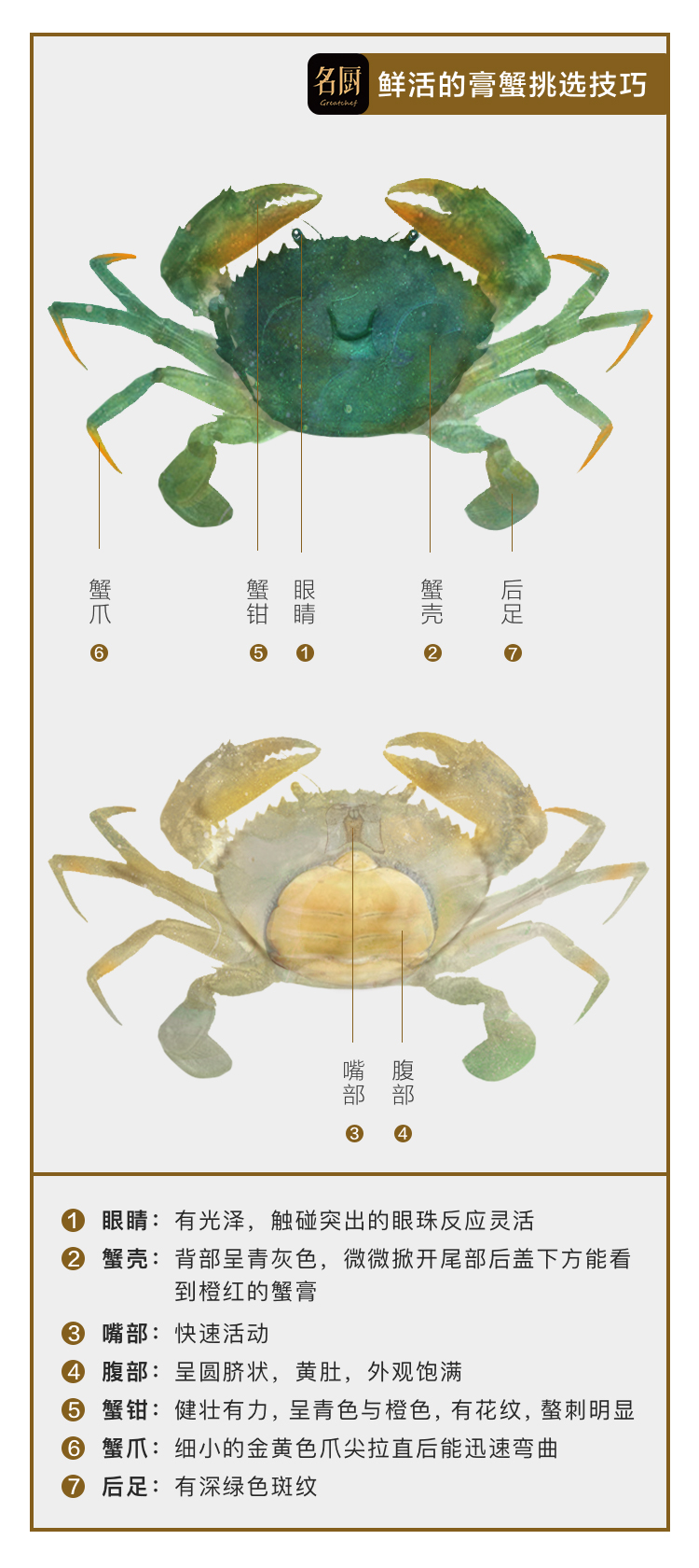 螃蟹-中文简体.jpg