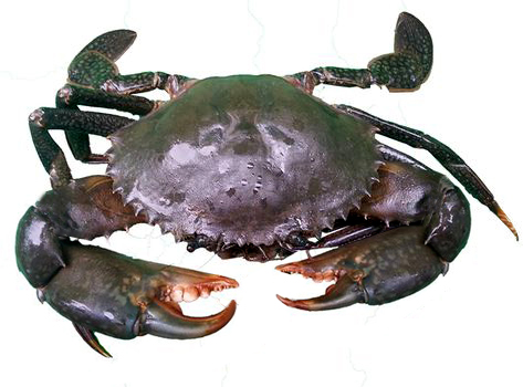 00e8140c.jpg