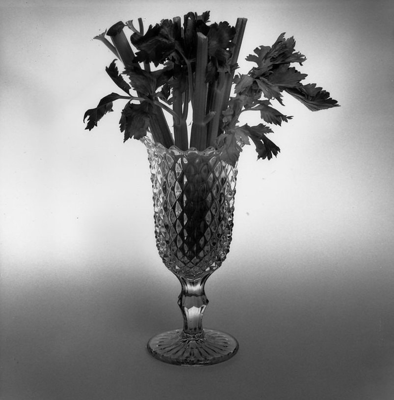 celery20191202.jpg