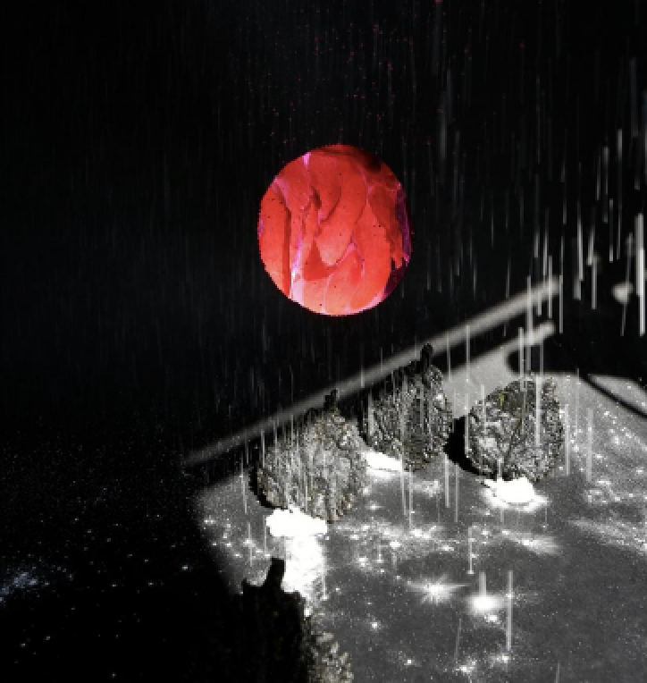 王广义MG5091.png