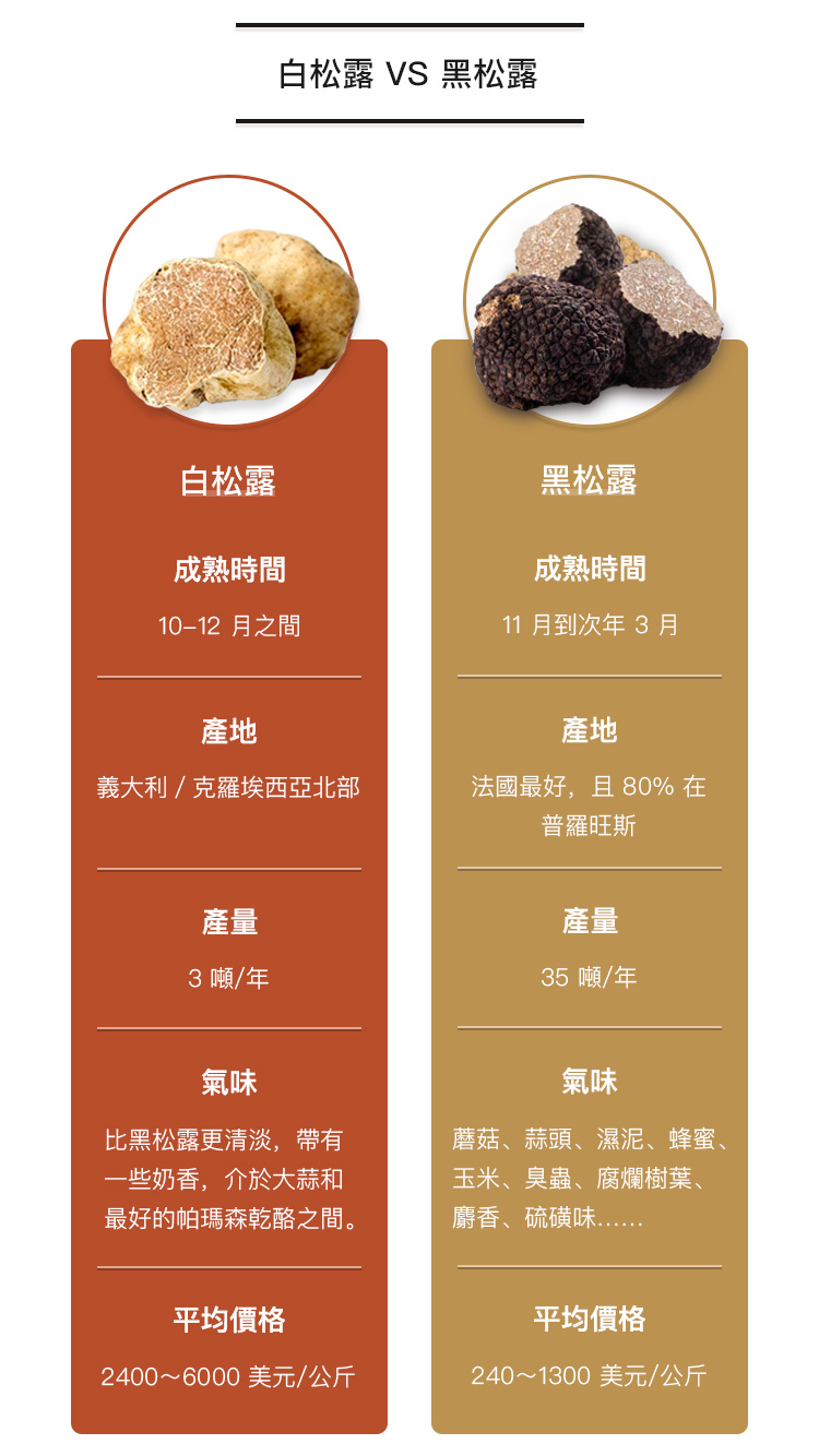 白松露vs黑松露繁体.jpg