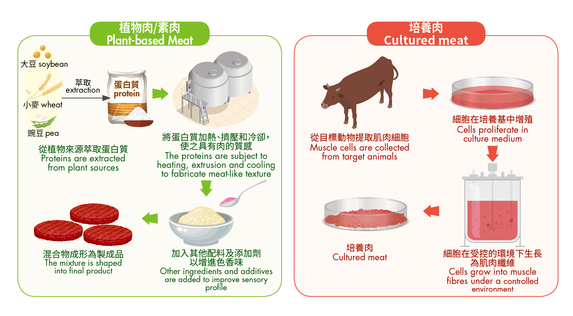 植物肉与细胞培养肉.png