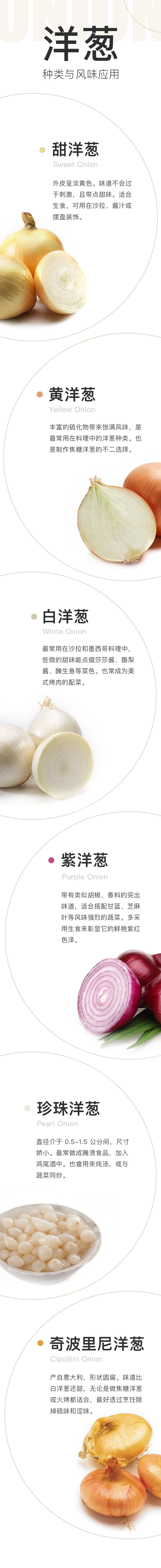 洋蔥信息圖（簡體）.jpg