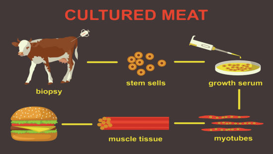 Culturedmeat_1000x565-550x311.jpg