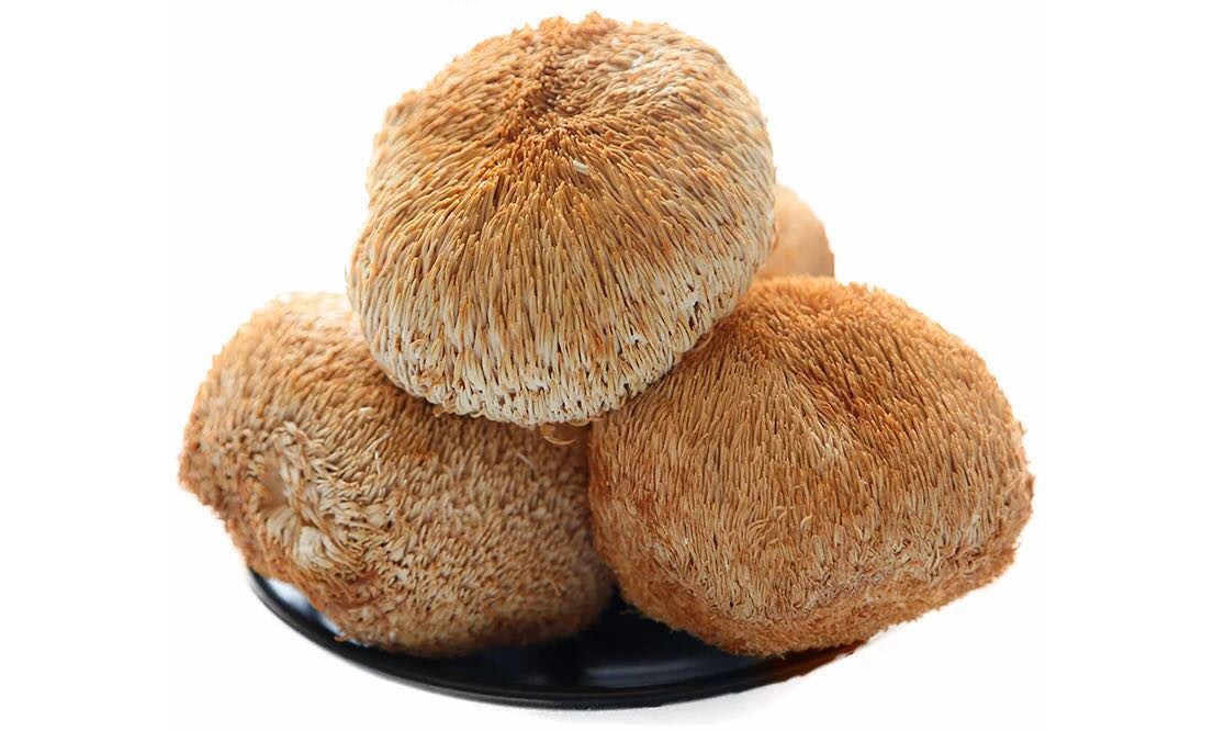 Hericium-Erinaceus-Delivery.jpg
