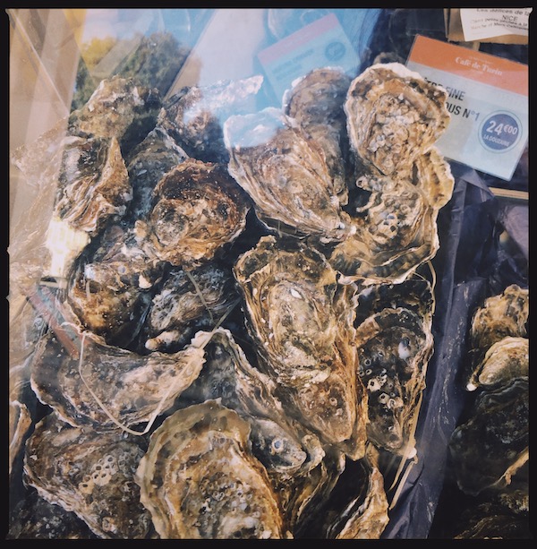 oyster.JPG