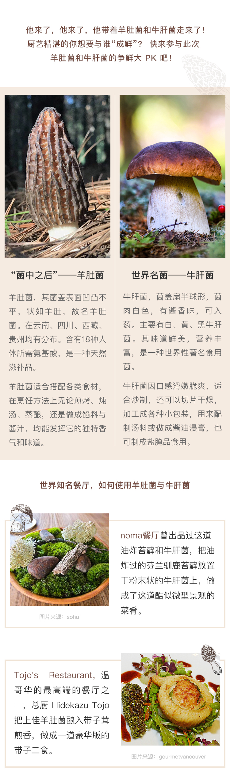 长图第1张.jpg