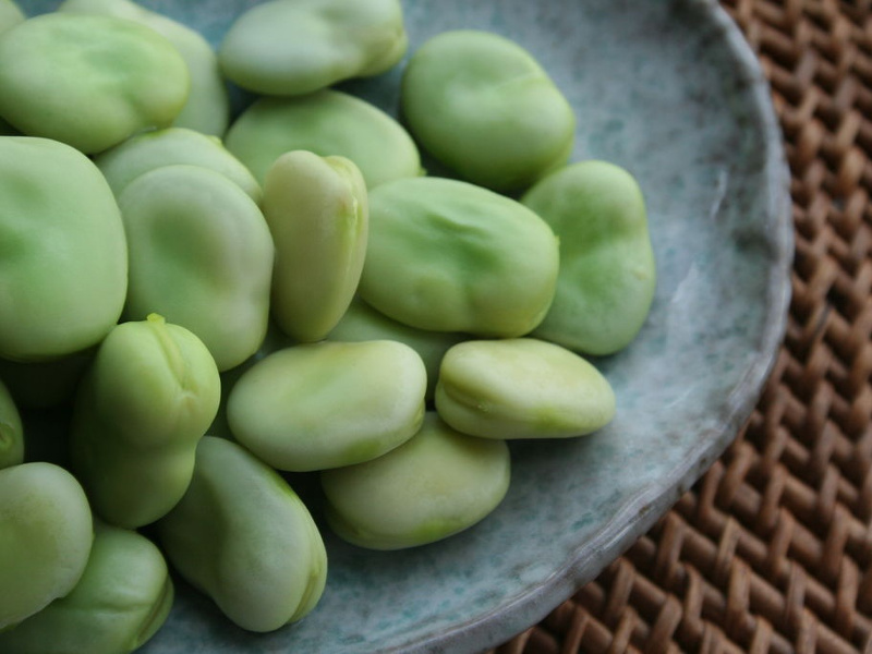 ingredients-fava-beans-wikipedia-4x3.jpg