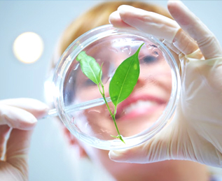 natural-plant-derived-ingredients.jpg