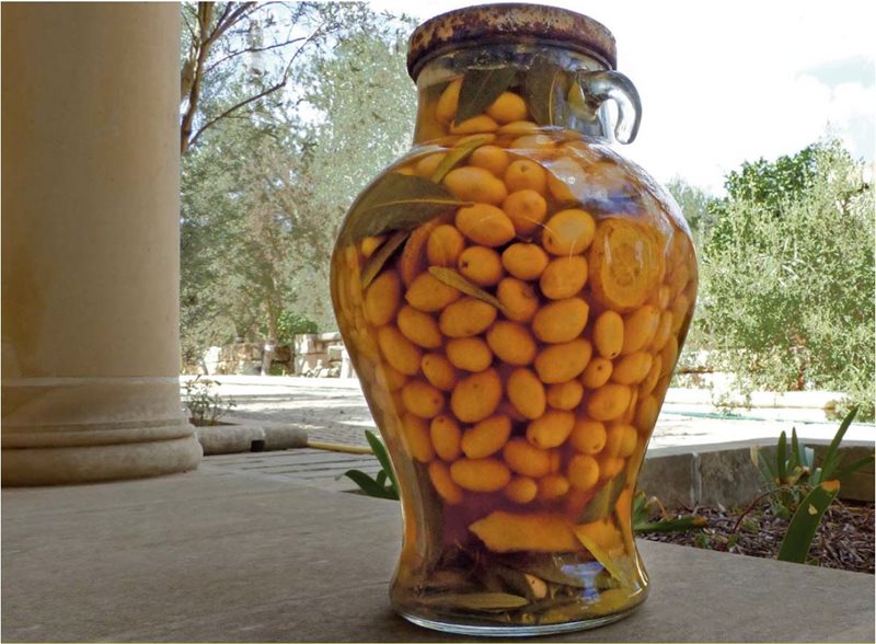 Jar.JPG