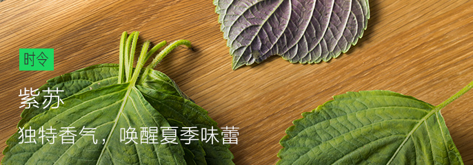 发现页轮播图.jpg