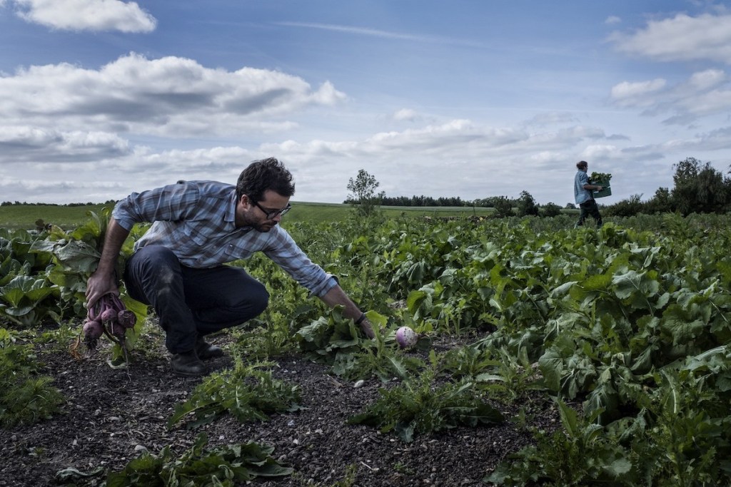 farm-of-ideas-copenhagen-the-local-tongue-credit-p.a._jørgensen-1.jpg