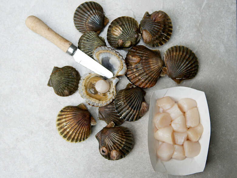 claws_scallops_01_dougyoung.jpg