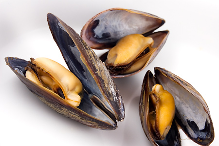mussels.jpg