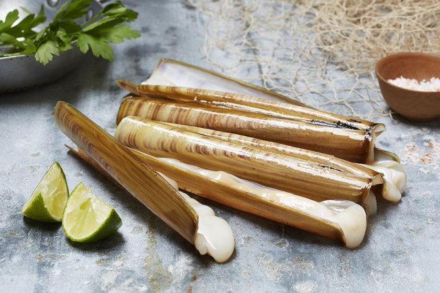 bamboo-clam.jpg