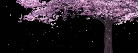 IMG_4054.GIF