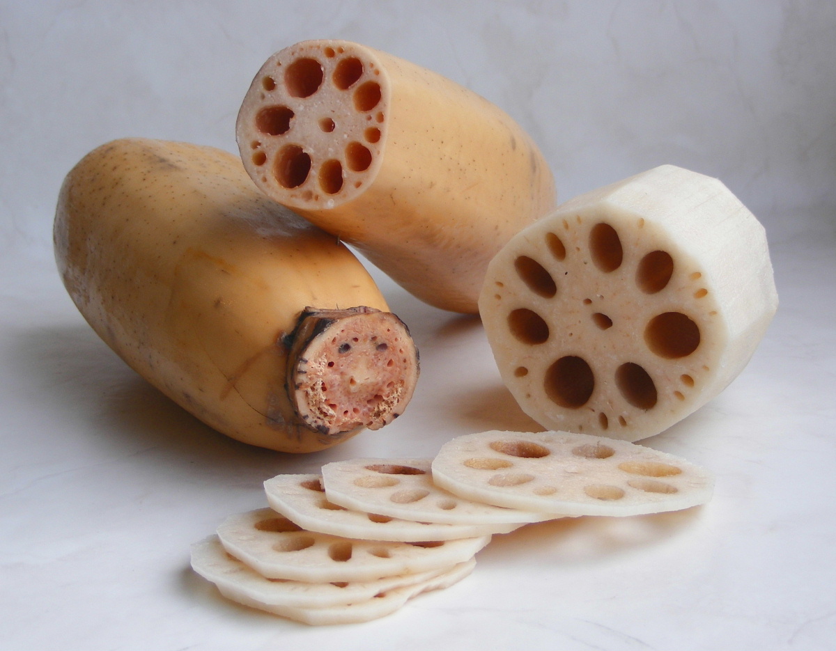 Lotus_root1.jpg