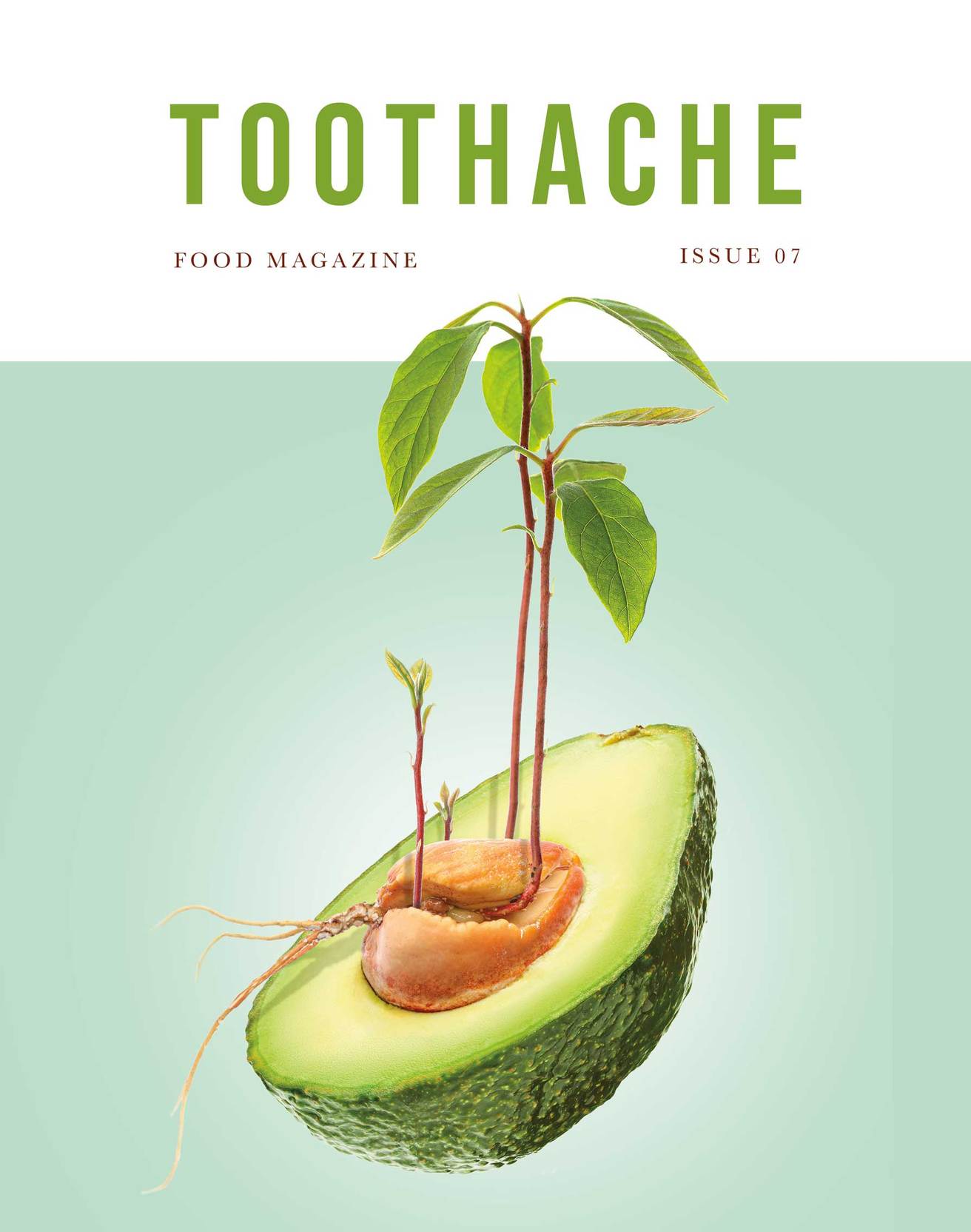 Toothache_Issue7Web_1312x1664_crop_center.jpg