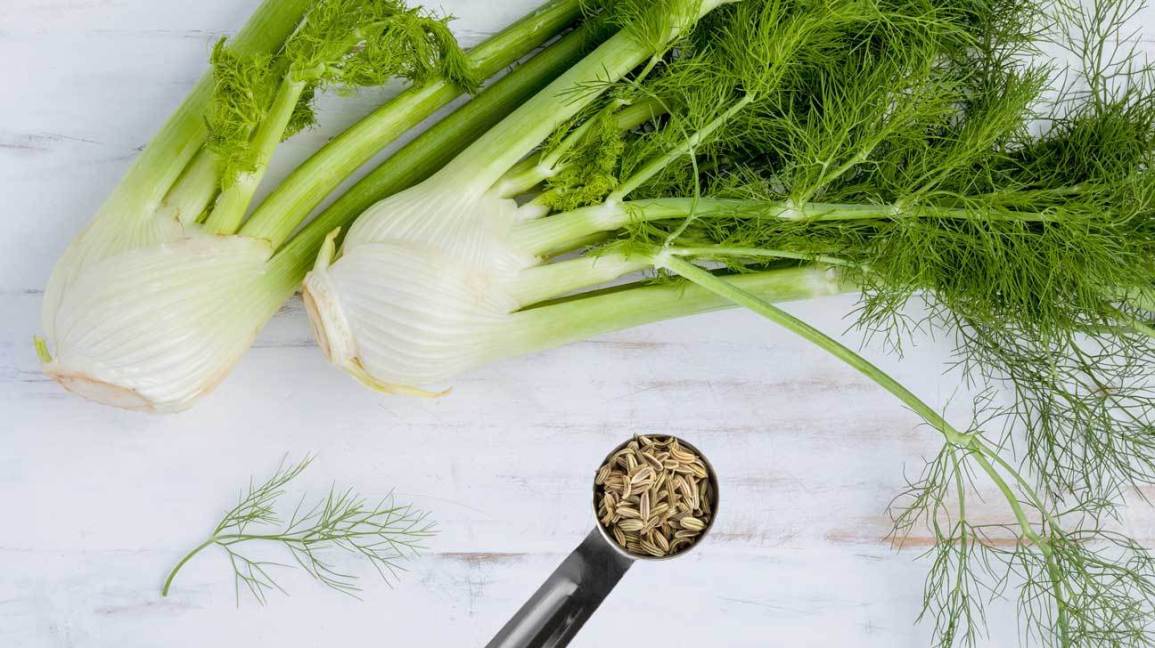 fennel-and.jpg