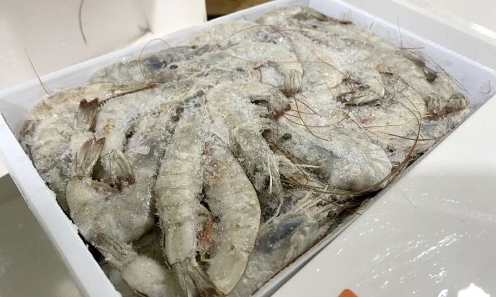 进口冷链食材被不少餐厅舍弃不用.jpeg