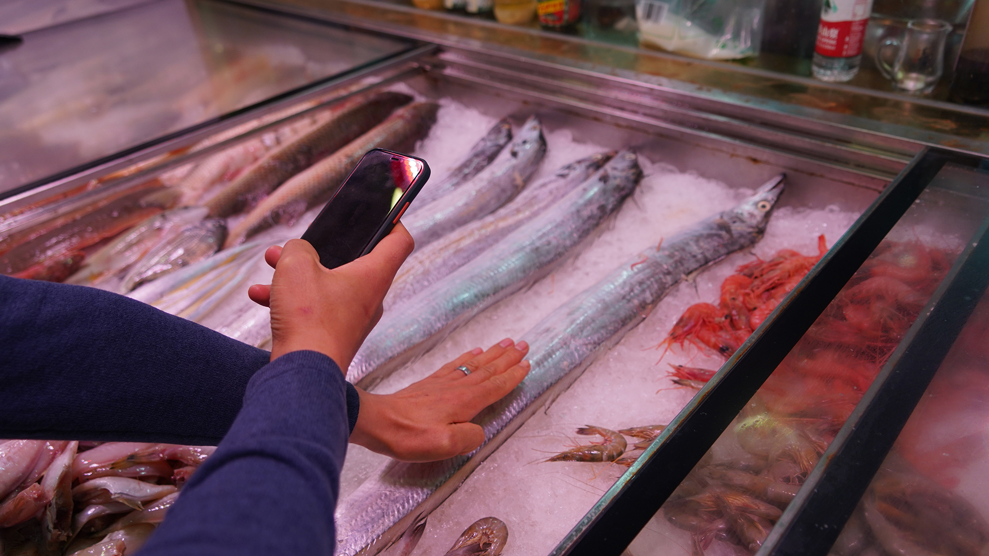 老四海鲜大排档中的海鲜食材.JPG