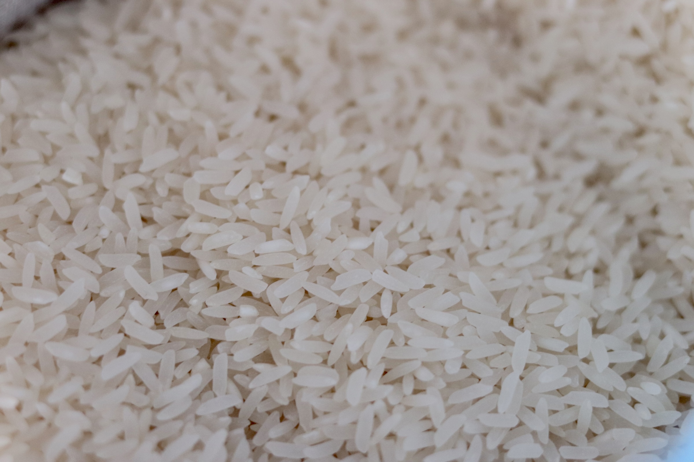 60e7b8ab41a5c.jpeg 60e7b8ab41a5c.jpeg