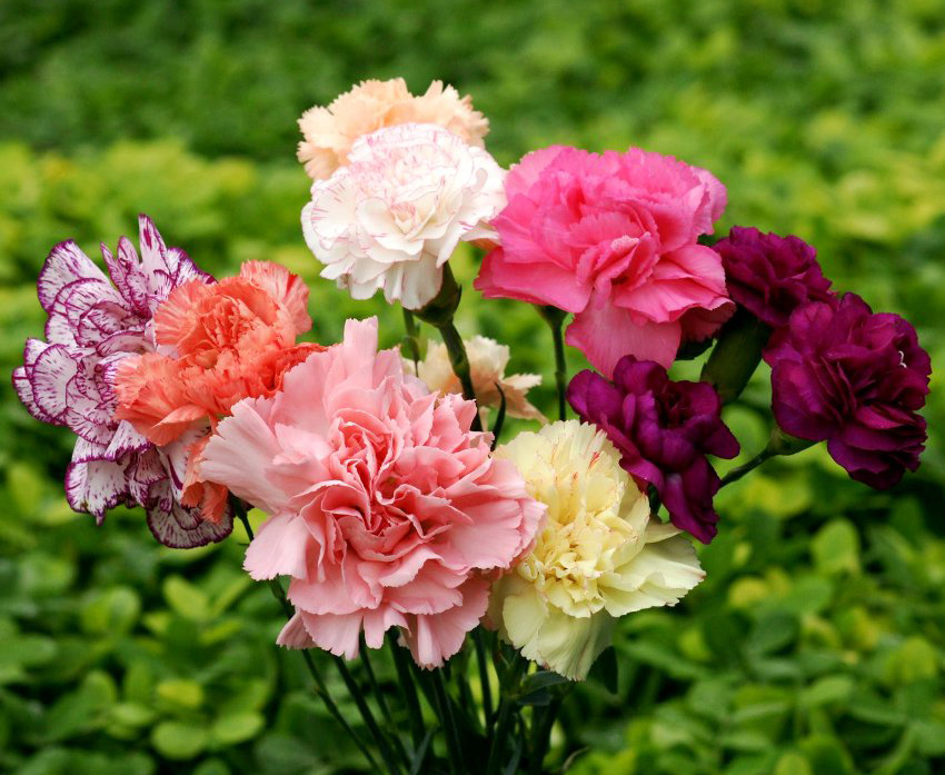 611f4926ca30a.jpg 611f4926ca30a.jpg