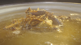 61553bdce54ce.GIF