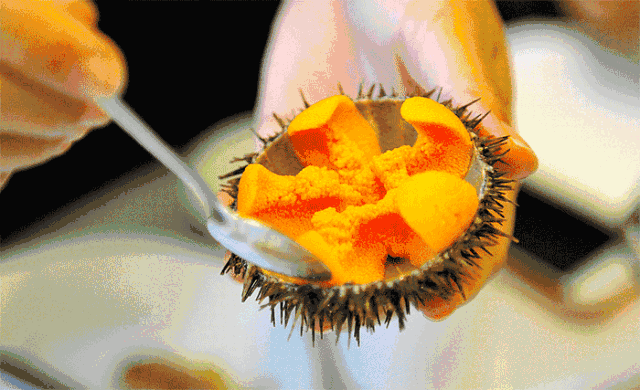 61a05fc3590ef.gif