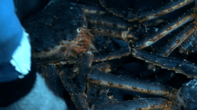 61d51ae845820.gif 61d51ae845820.gif