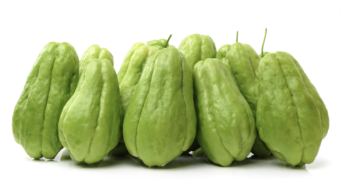 62f1d1535982c.png