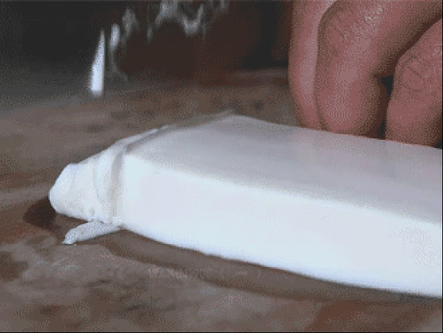 6316b51c5df39.gif