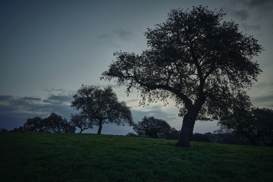 636374cf8b5e1.png