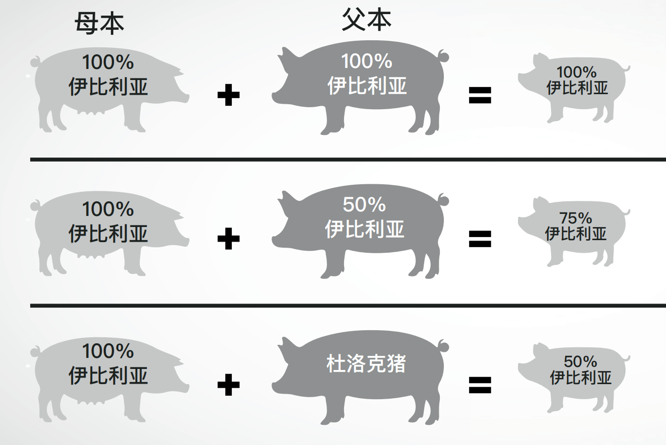 636da62988cca.png