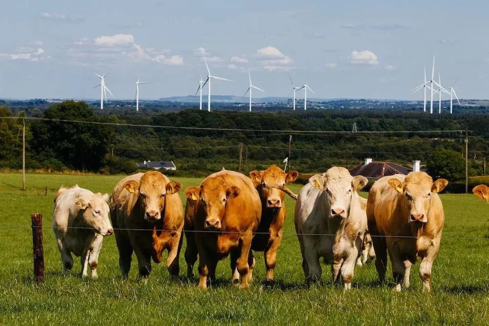 65f2bb8627611.jpg 65f2bb8627611.jpg