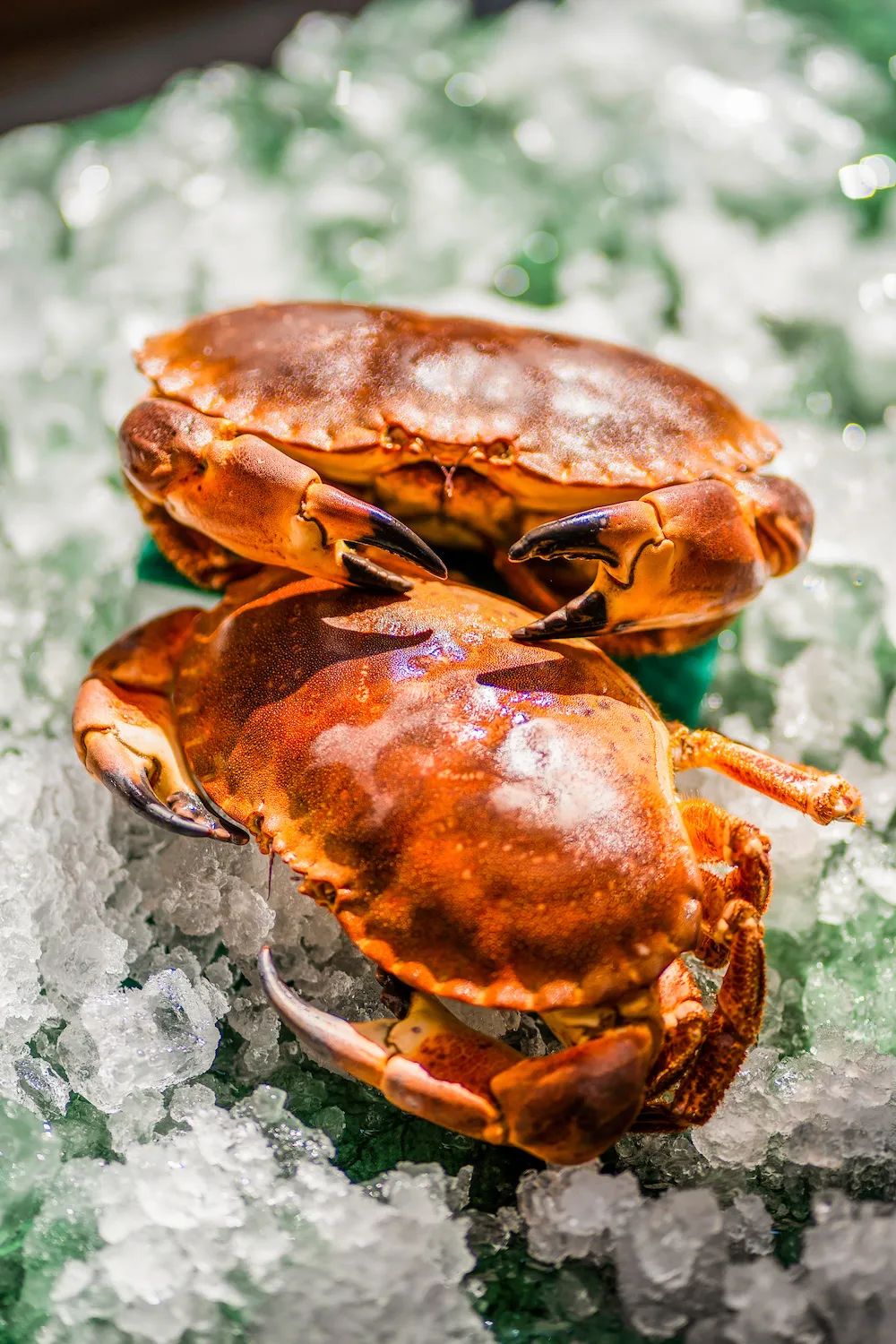 65f2bbc3c9fe9.jpg 65f2bbc3c9fe9.jpg