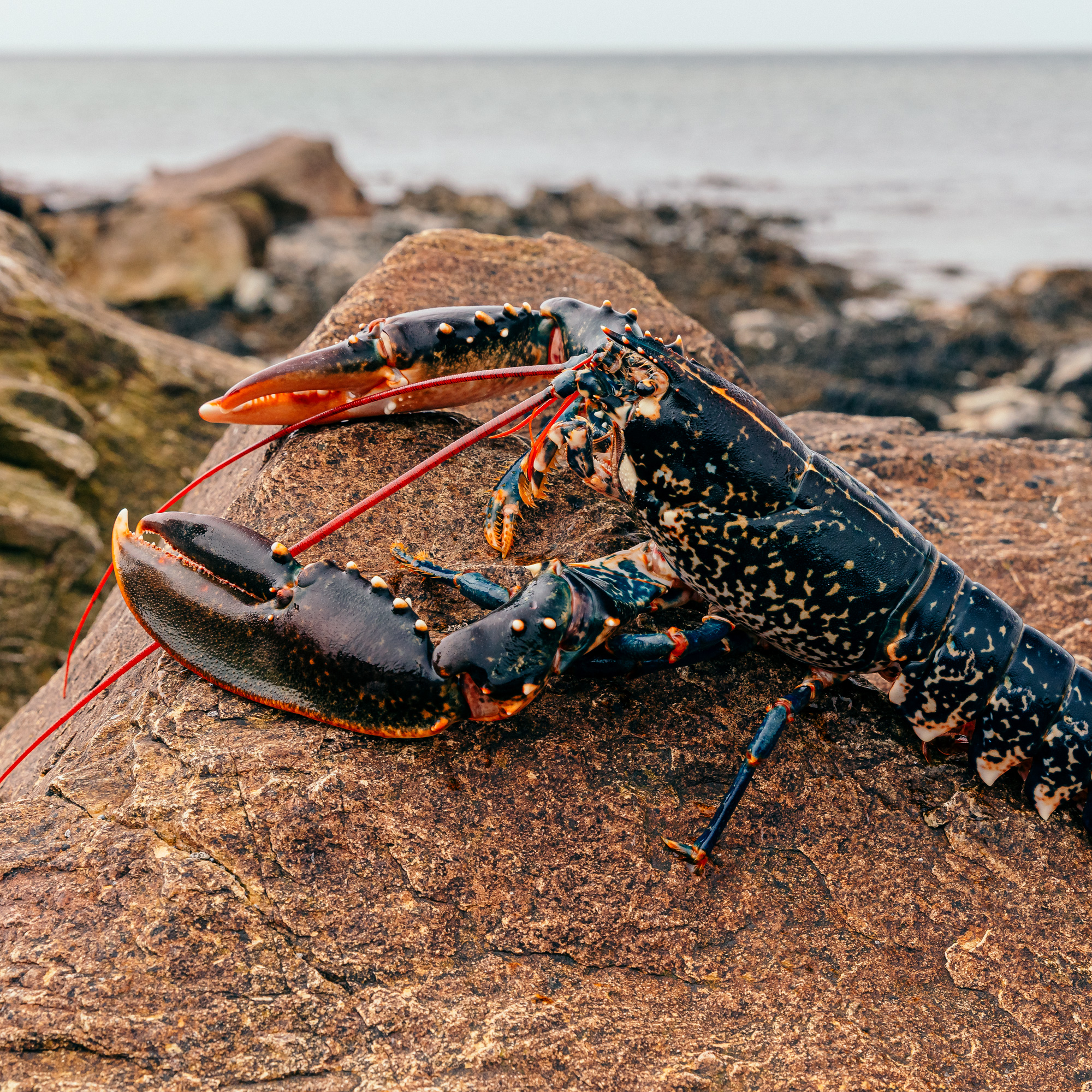 65f3b635d9302.jpg 65f3b635d9302.jpg