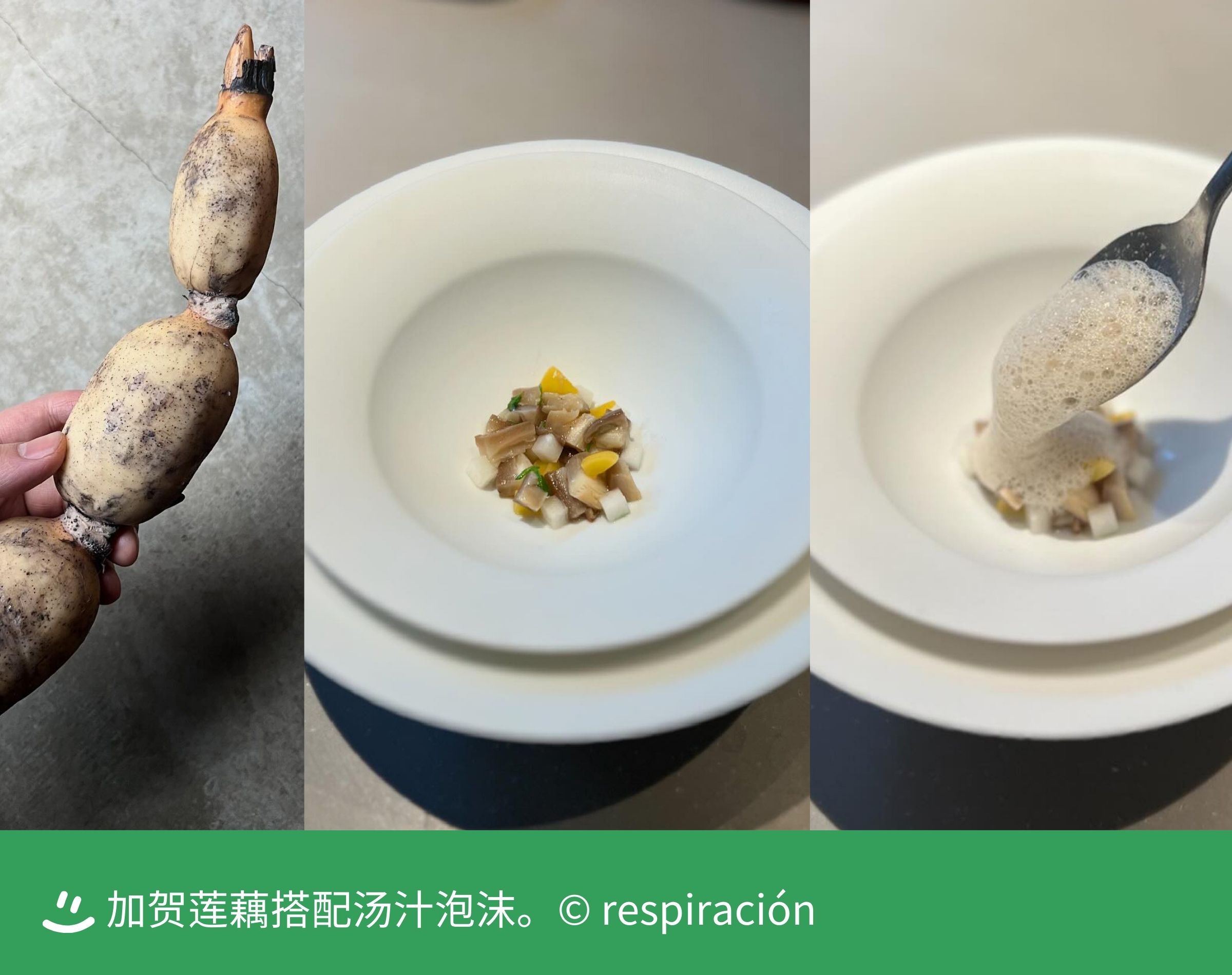 66a33cc731f3b.jpg