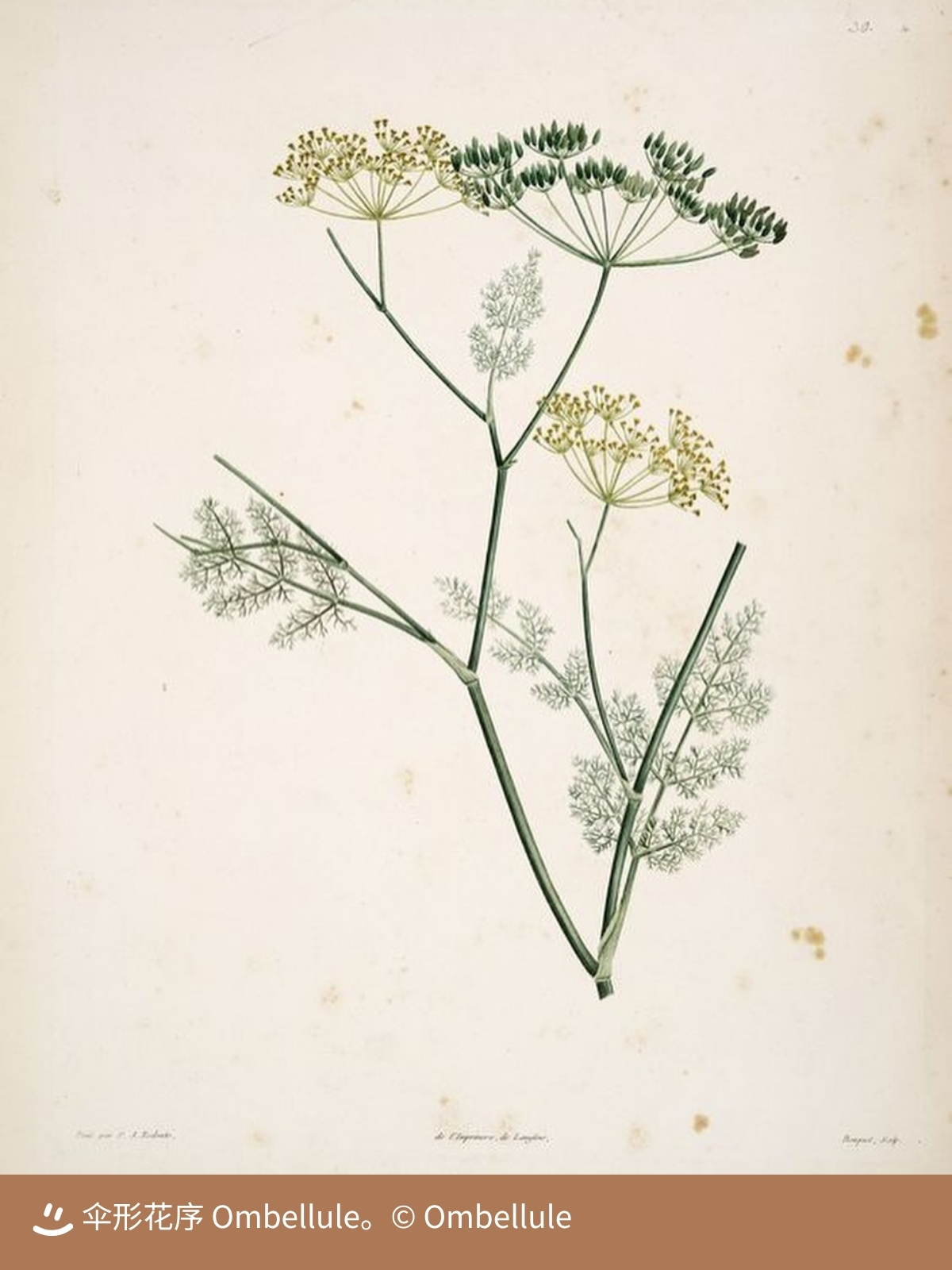 683564dfe2479.jpg