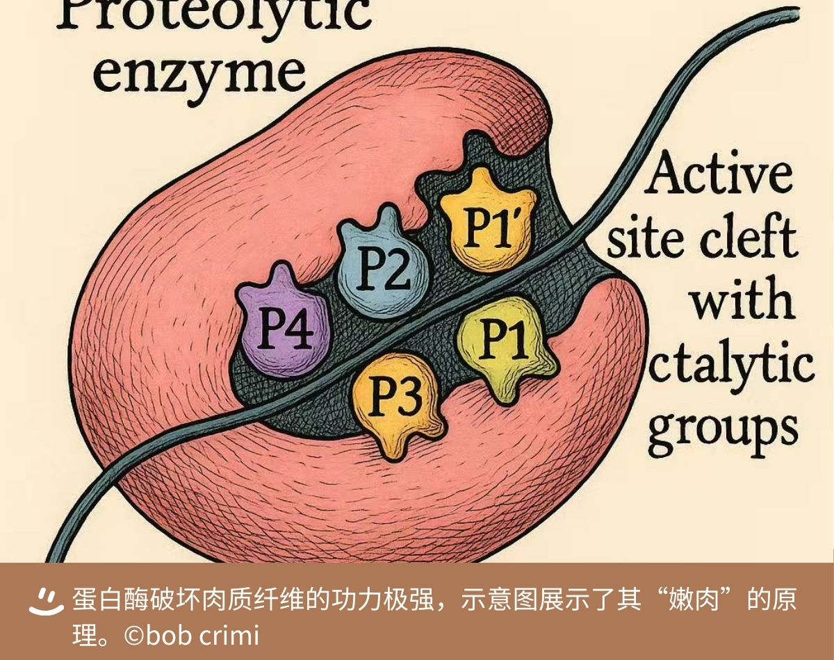 68a29b1a412ac.jpg