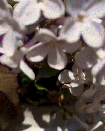 68b911fa6480b.gif