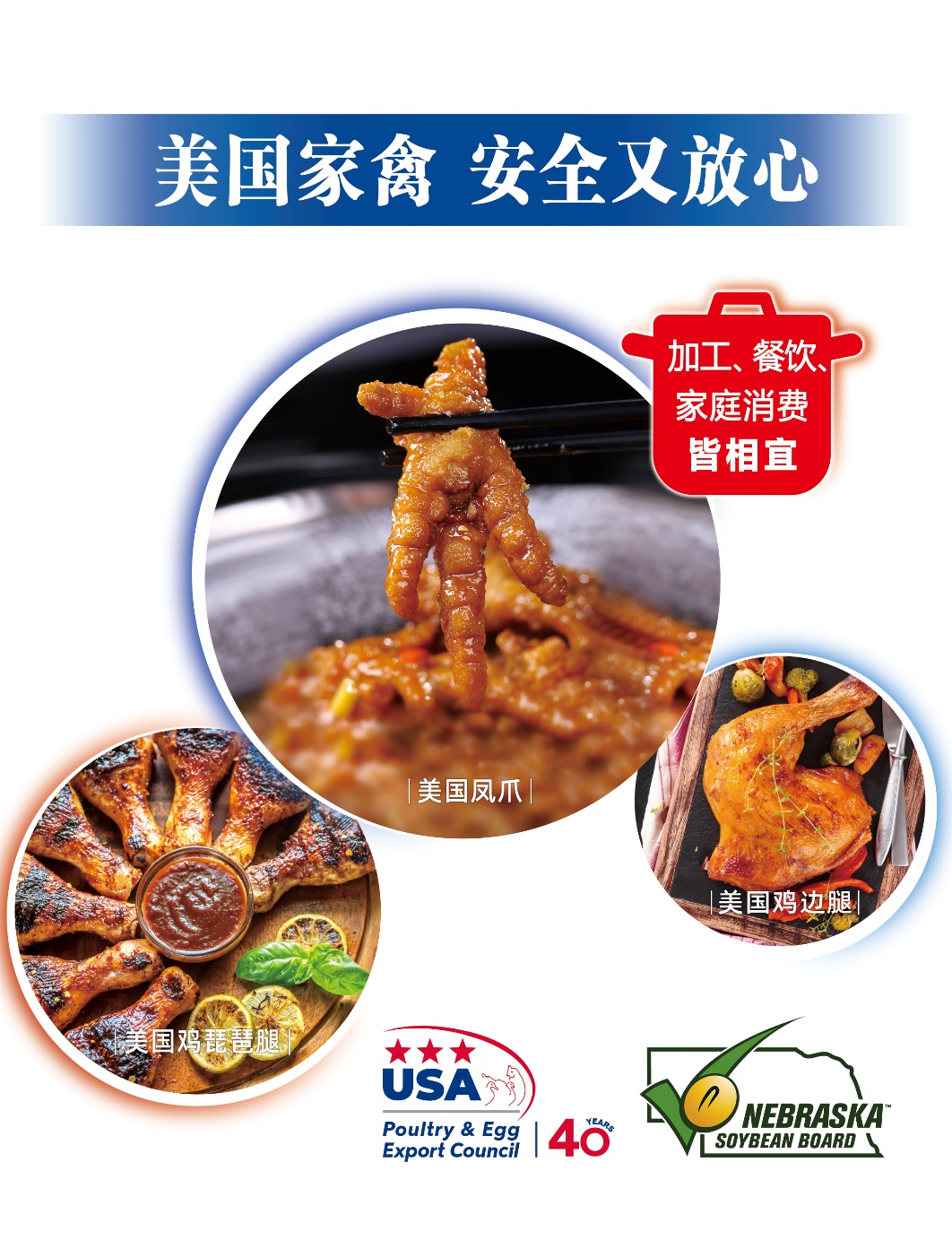 6901b88ded42e.jpeg 6901b88ded42e.jpeg