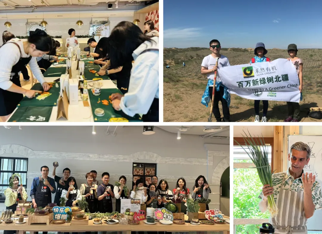 691187f1b41cd.jpg 691187f1b41cd.jpg